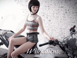 Wildcatcute
