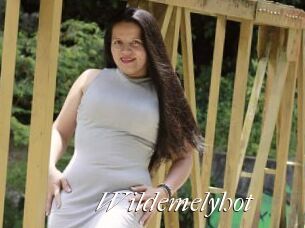 Wildemelyhot
