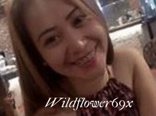 Wildflower69x