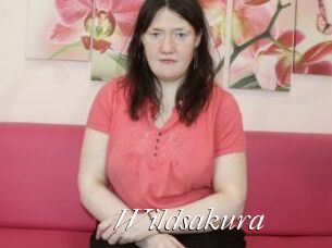 Wildsakura