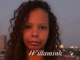 Willamink