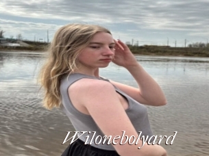 Wilonebolyard