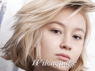 Wilonefudge