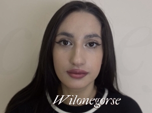 Wilonegorse