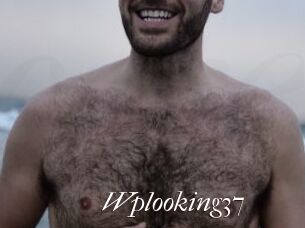 Wplooking37