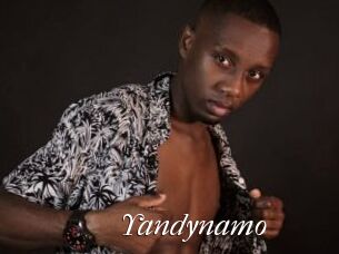 Yandynamo