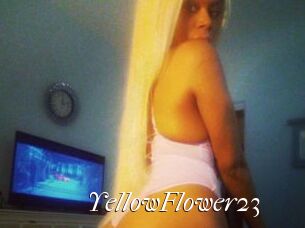 YellowFlower23