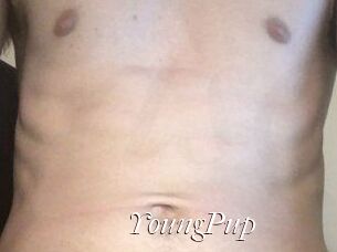 YoungPup