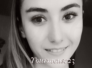Yourmouse23