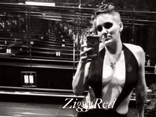 ZiggyRed