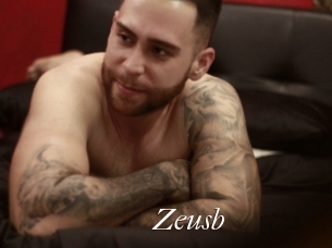 Zeusb